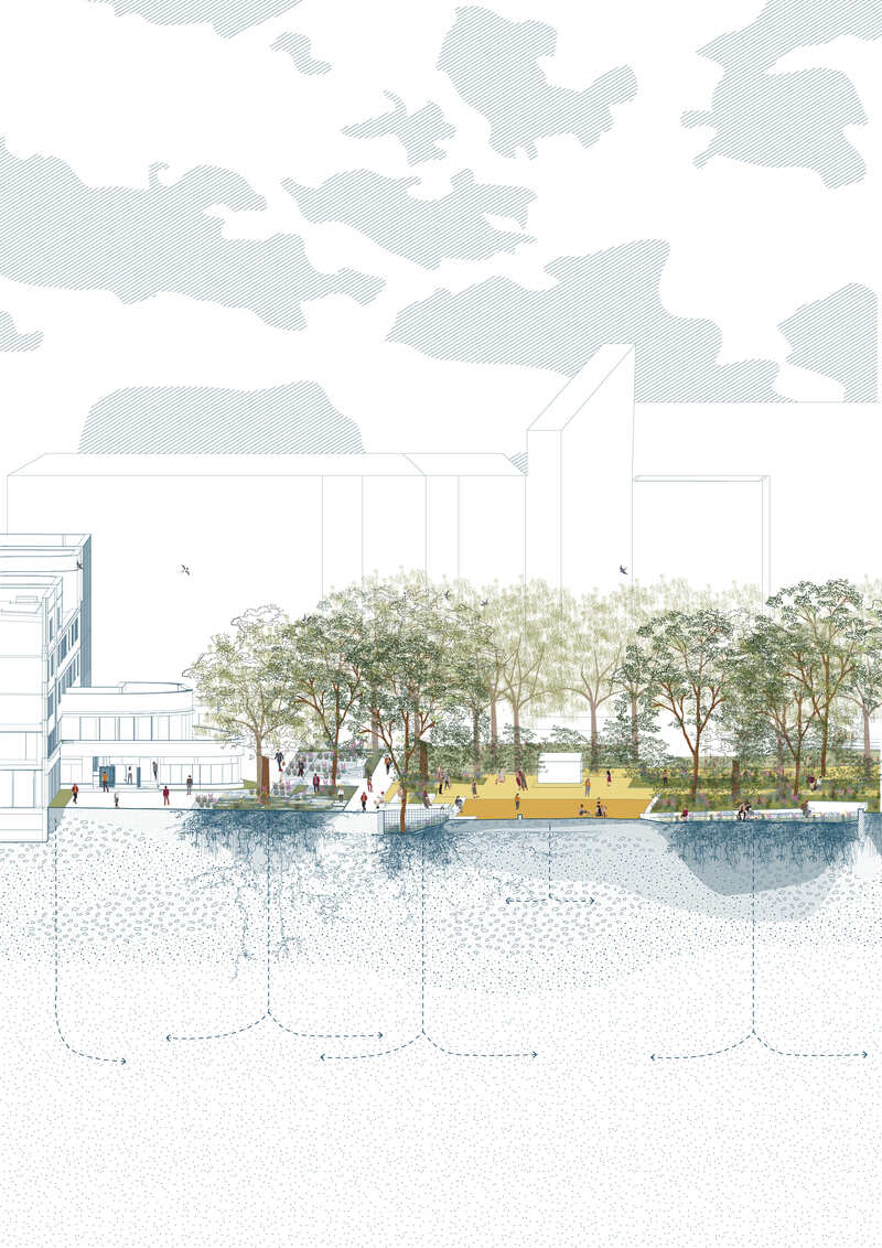 5 Cite Mixte Regionale Paul Valery a natural school park