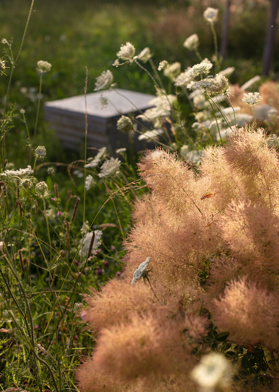 BUREAU Mr Barretts Garden 1500px DylanPerrenoud 01